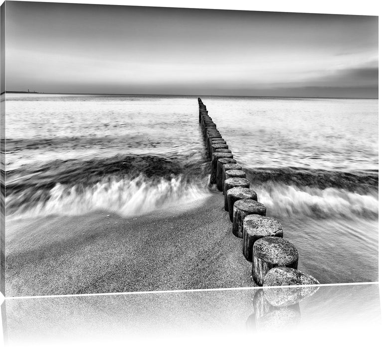 Pixxprint Baumstümpfe die ins Meer führen, Leinwandbild