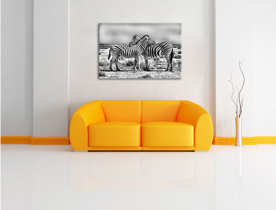 Schmusende Zebras Leinwandbild über Sofa