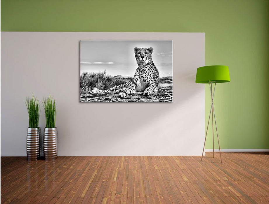 Gepard in Savanne B&W Leinwandbild im Flur