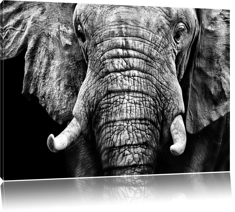 Pixxprint Elefant B&W, Leinwandbild