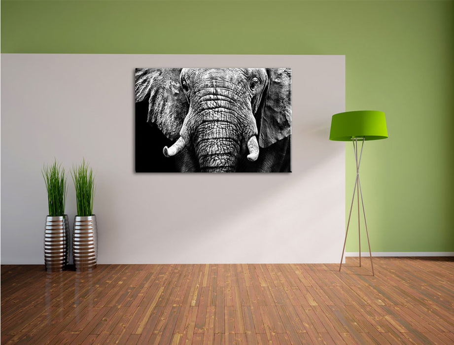 Elefant B&W Leinwandbild im Flur