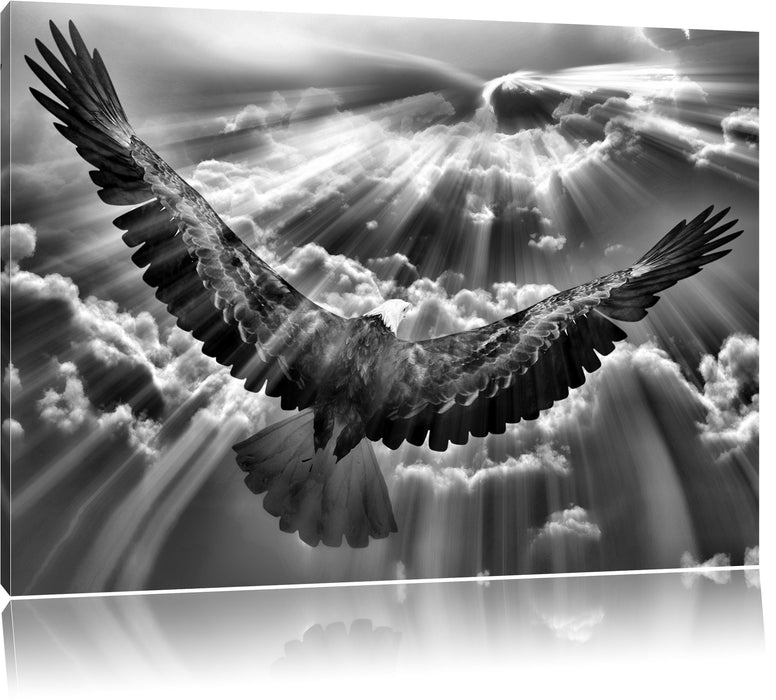 Adler über den Wolken B&W Leinwandbild