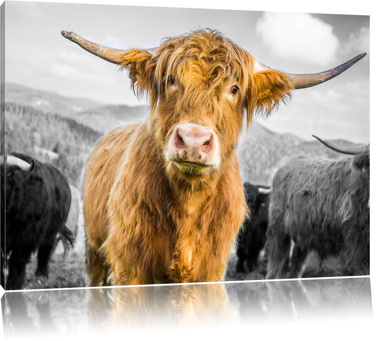 Pixxprint Blick einer Kuh an der Weide B&W, Leinwandbild