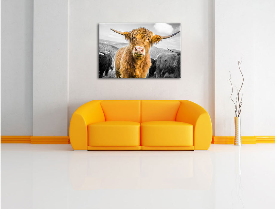 Blick einer Kuh an der Weide B&W Leinwandbild über Sofa