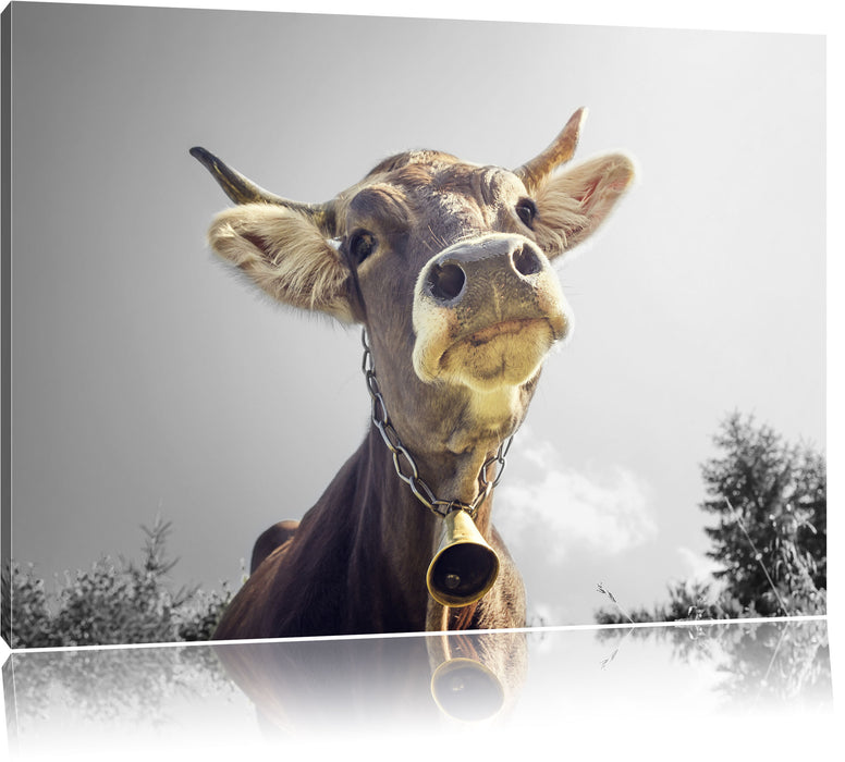 Pixxprint Lustiges Portrait einer Kuh B&W, Leinwandbild