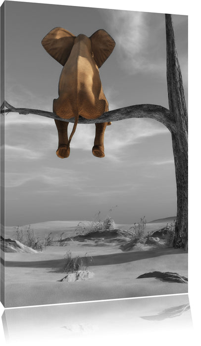 Pixxprint Elefant auf einem Ast in der Wüste, Leinwandbild