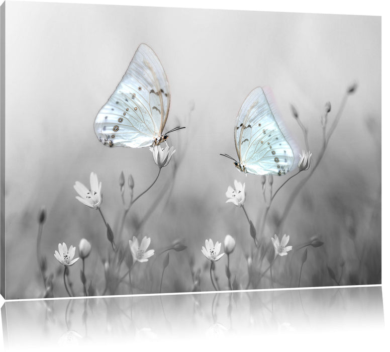Pixxprint Schmetterling auf kleinen Blumen, Leinwandbild