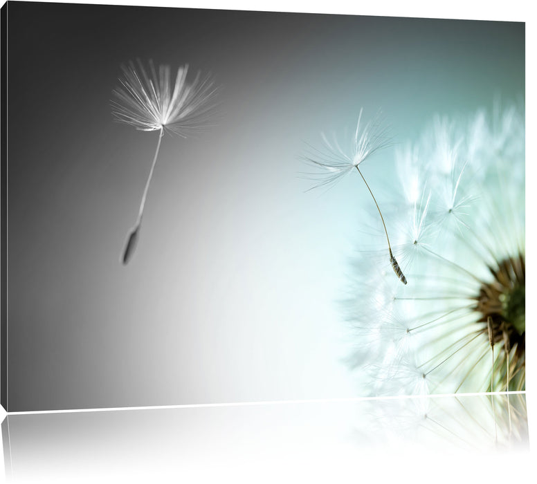 Pixxprint Löwenzahn Pusteblume B&W, Leinwandbild