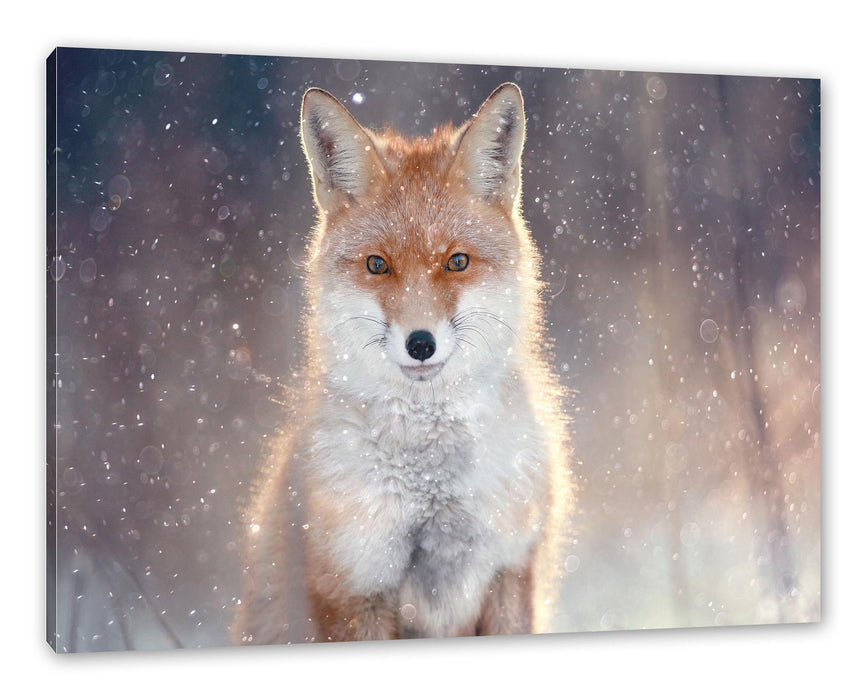 Pixxprint Roter Fuchs im Winter, Leinwandbild