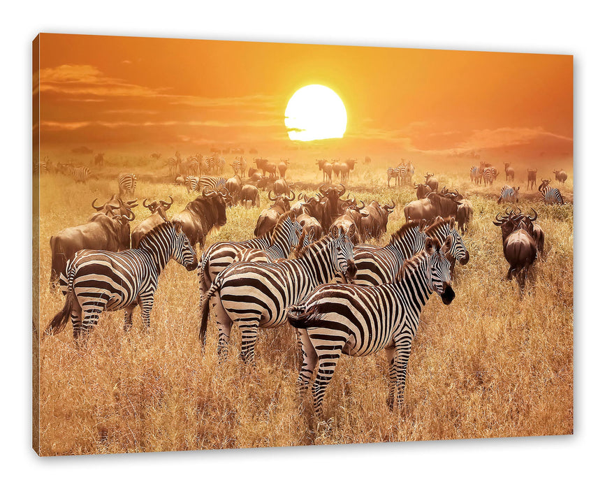 Pixxprint Zebraherde Savanne bei Sonnenuntergang, Leinwandbild