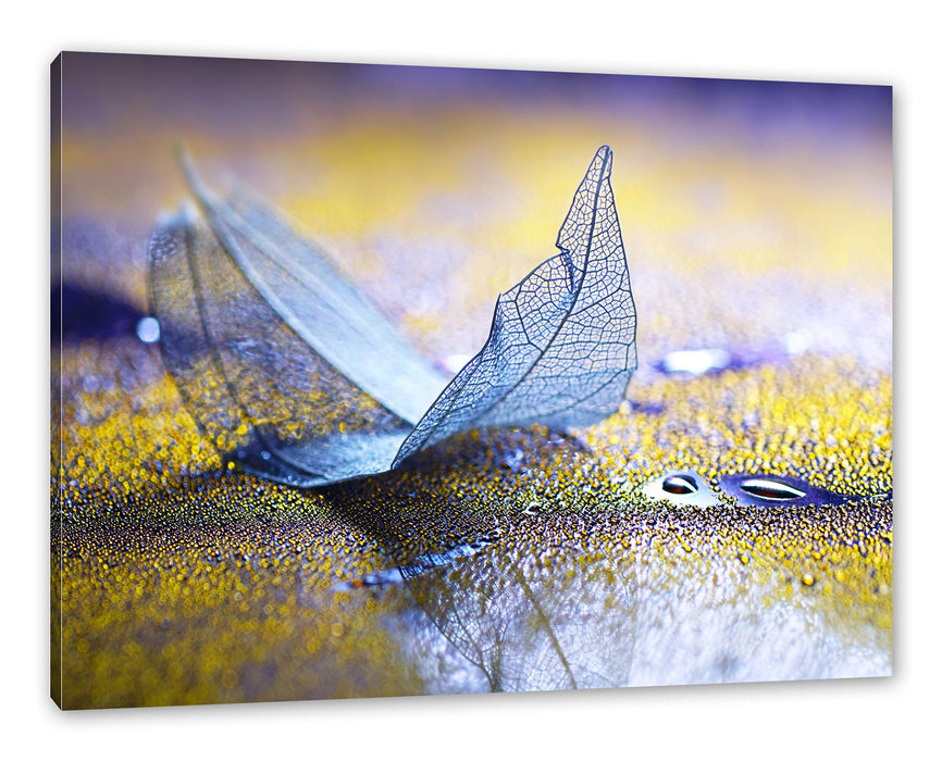 Pixxprint Nahaufnahme blaues Blattgerüst im Regen, Leinwandbild
