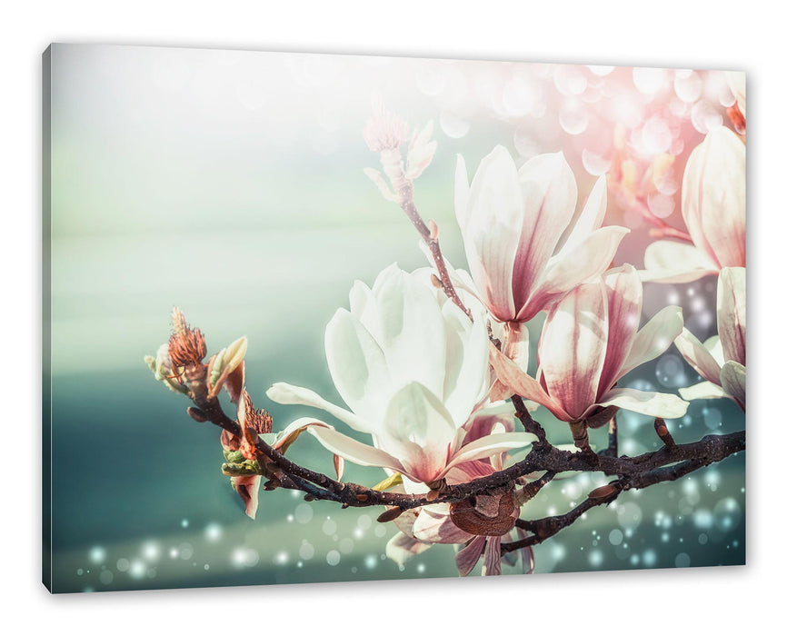 Pixxprint Wunderschöne Magnolien Nahaufnahme, Leinwandbild