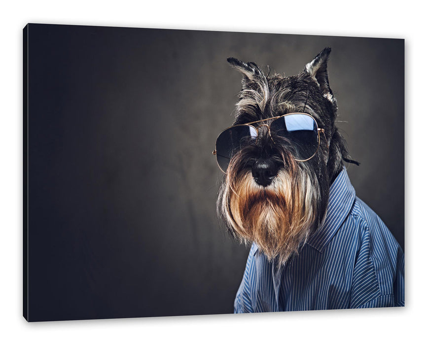 Pixxprint Lustiger Hund mit Hemd und Sonnenbrille, Leinwandbild