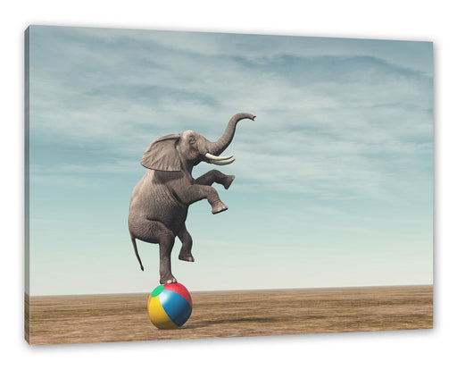 Elefant in der Wüste balanciert auf Ball Leinwanbild Rechteckig