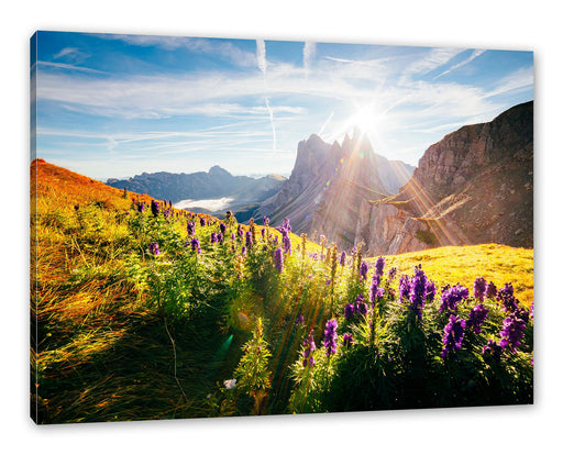 Bergwiese im Puez-Geisler Naturpark Leinwanbild Rechteckig