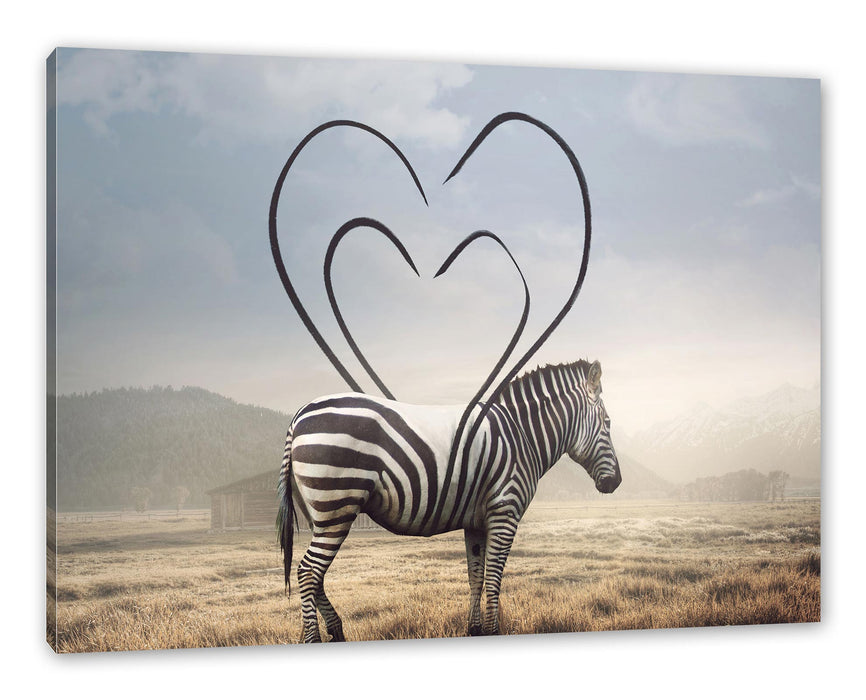 Pixxprint Zebra mit Herzbotschaft in der Savanne, Leinwandbild