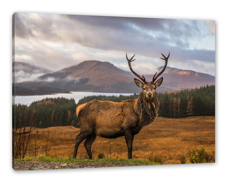 Pixxprint Hirsch in atemberaubender Landschaft, Leinwandbild