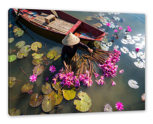 Wasserlilienernte mit Boot in Vietnam Leinwanbild Rechteckig