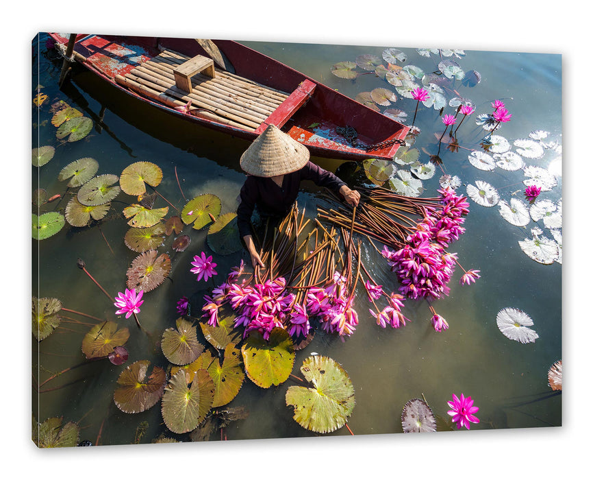 Pixxprint Wasserlilienernte mit Boot in Vietnam, Leinwandbild