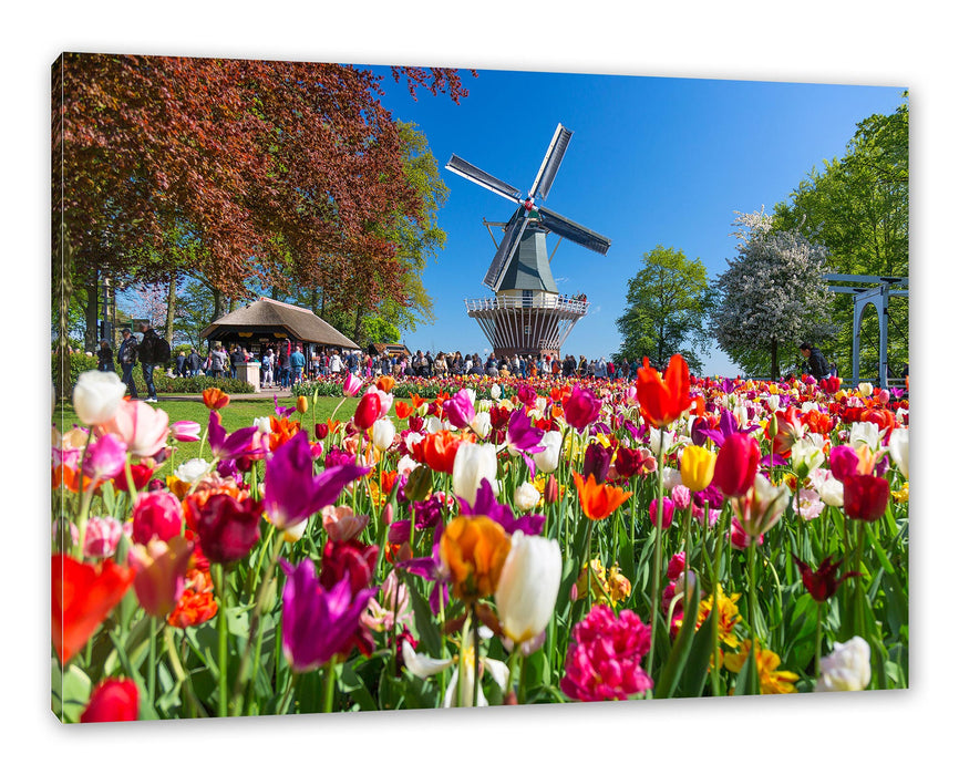 Pixxprint Holländisches Tulpenmeer vor Windmühle, Leinwandbild