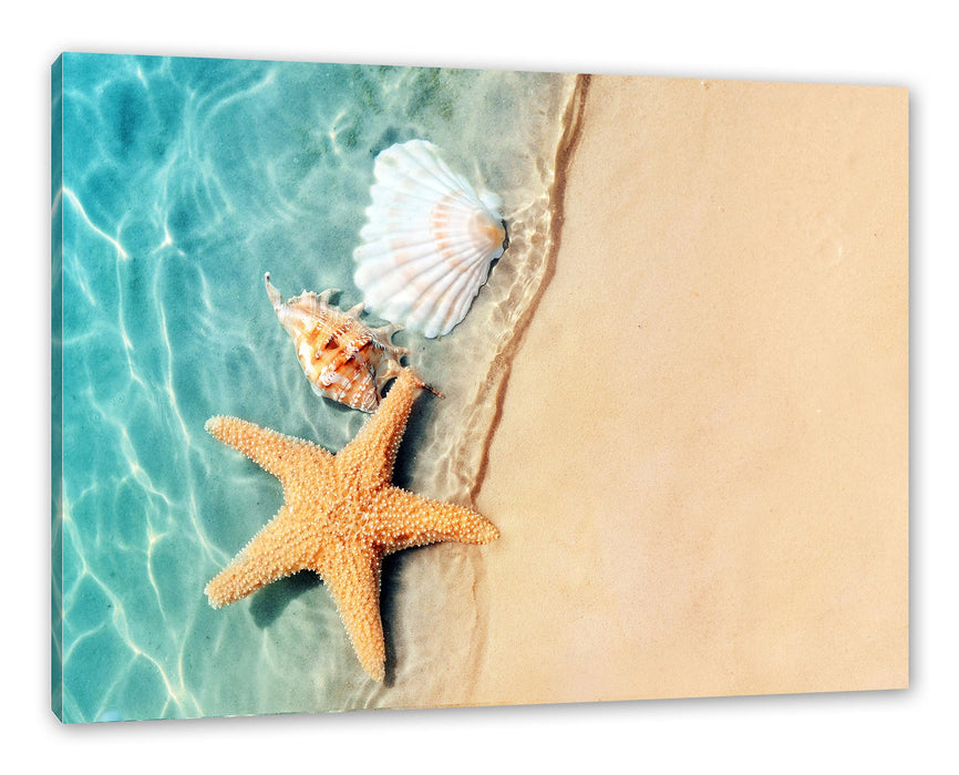 Pixxprint Seestern und Muscheln am Strand, Leinwandbild