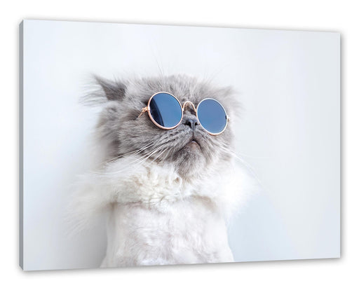 Coole Katze mit runder Sonnenbrille Leinwanbild Rechteckig