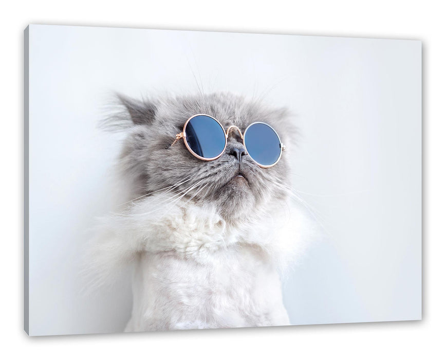 Pixxprint Coole Katze mit runder Sonnenbrille, Leinwandbild