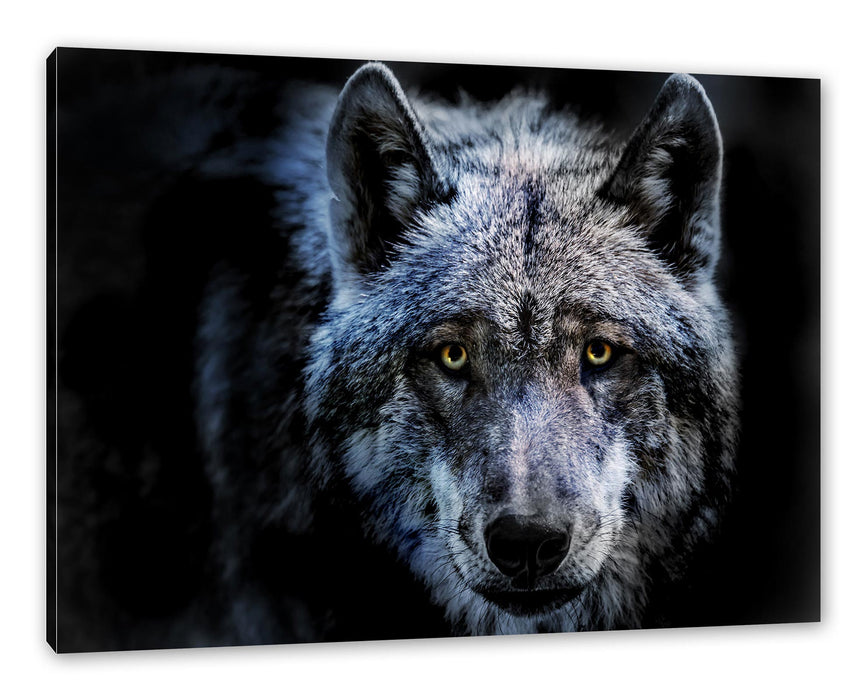 Pixxprint Nahaufnahme Wolf mit gelben Augen, Leinwandbild