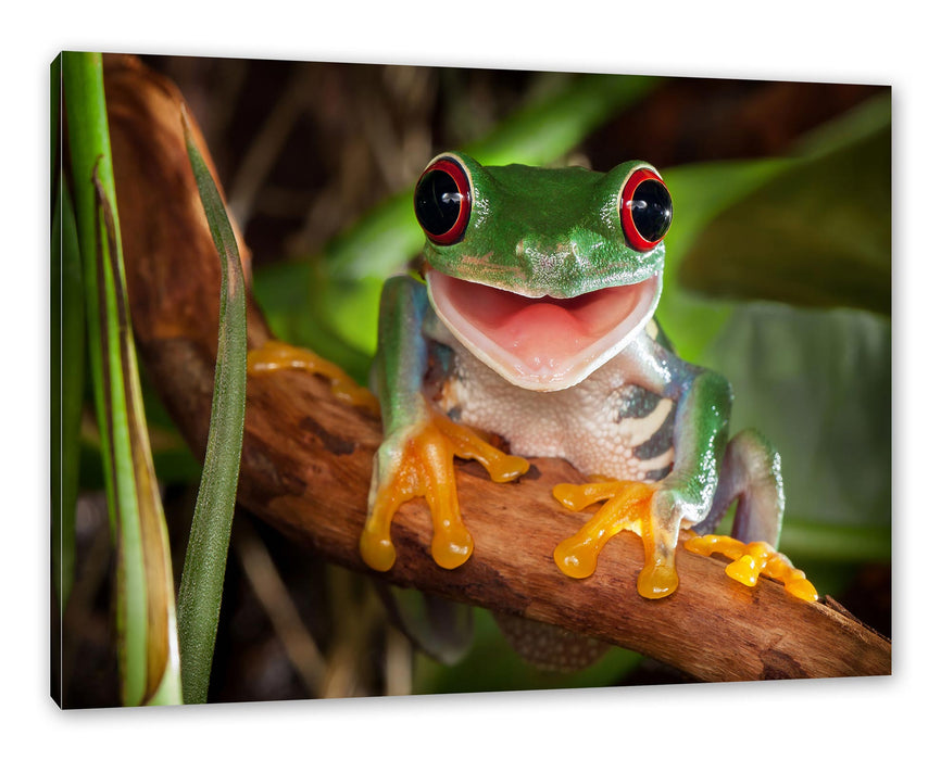 Pixxprint Lachender Frosch mit roten Augen auf Ast, Leinwandbild