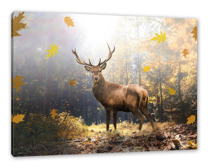 Pixxprint Hirsch im Wald mit fallenden Blättern, Leinwandbild