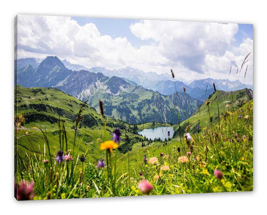 Pixxprint Wiesenblumen in den Bergen, Leinwandbild