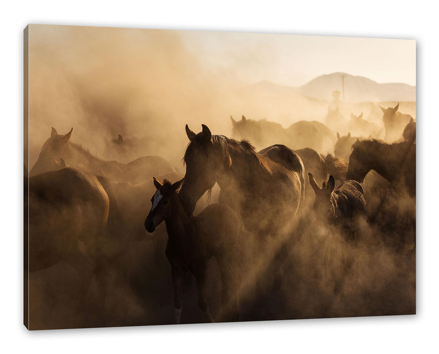 Pixxprint Pferdeherde im Staub bei Sonnenuntergang, Leinwandbild