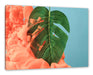 Monstera Blatt mit Pastelwolke Leinwanbild Rechteckig