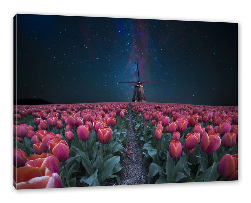 Pixxprint Tulpenfeld mit Windmühle bei Nacht, Leinwandbild