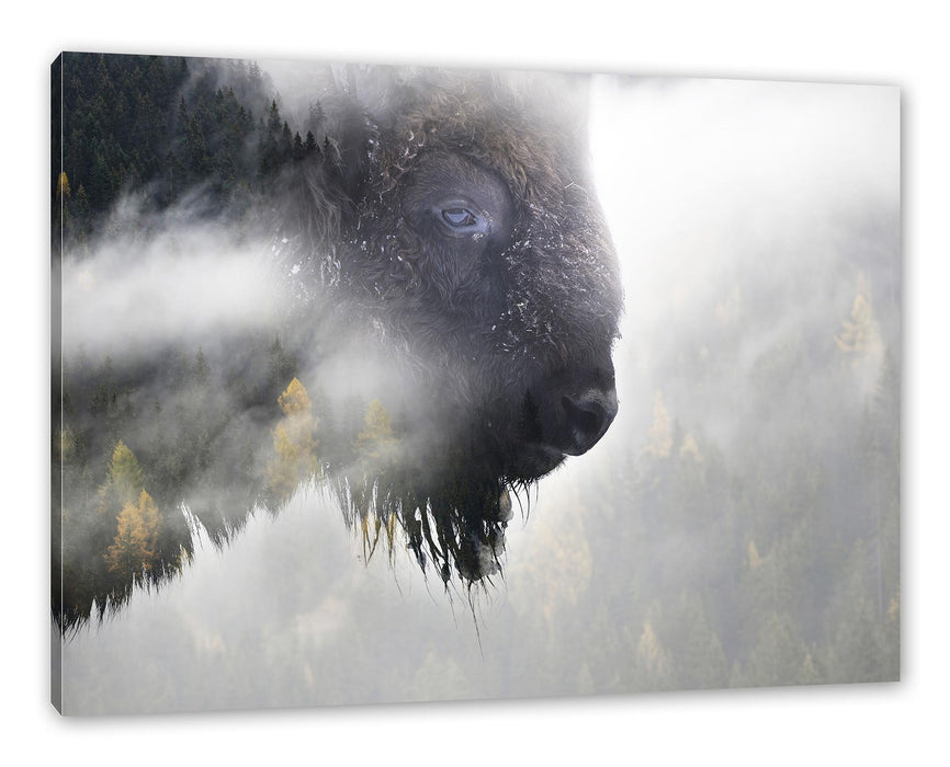 Pixxprint Wildes Bison in nebeligem Wald, Leinwandbild