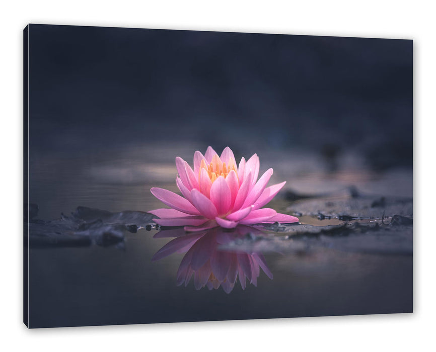 Pixxprint Leuchtende Lotusblüte auf grauer Pfütze, Leinwandbild