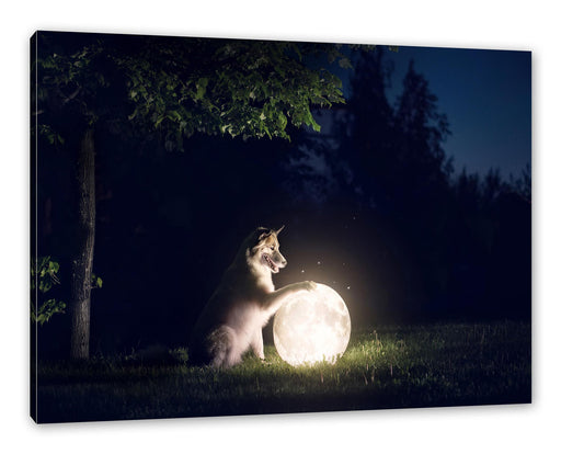 Hund mit leuchtendem Mond bei Nacht Leinwanbild Rechteckig