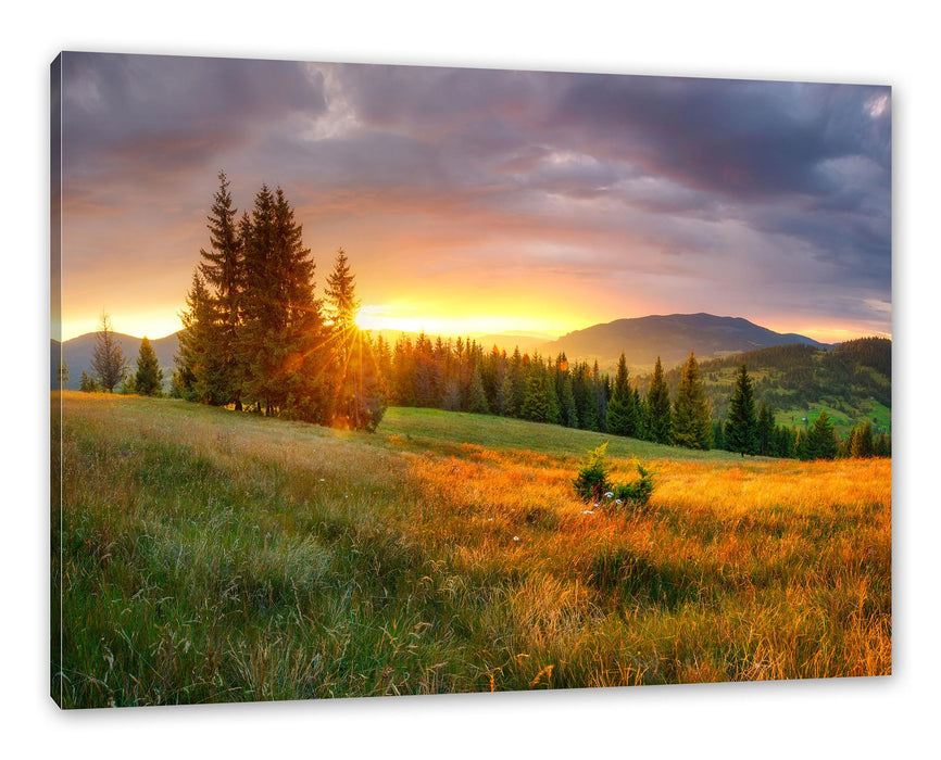 Pixxprint Wiesenlandschaft bei Sonnenuntergang, Leinwandbild