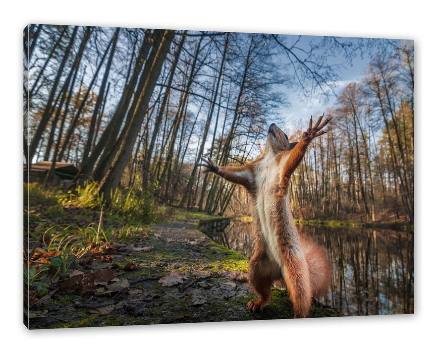 Pixxprint Lustiges Eichhörnchen steht im Wald, Leinwandbild