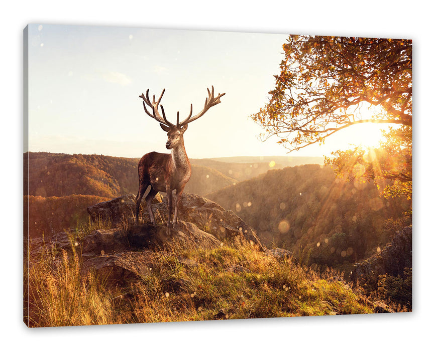 Pixxprint Anmutiger Hirsch bei Sonnenuntergang, Leinwandbild