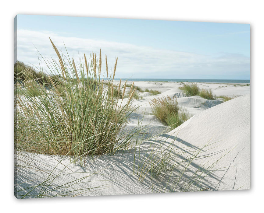 Pixxprint Grasige Dünenlandschaft am Meer, Leinwandbild