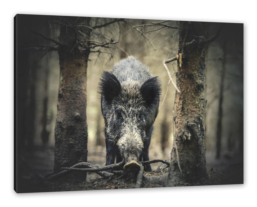 Pixxprint Nahaufnahme Wildschwein im Wald, Leinwandbild