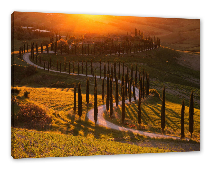Pixxprint Straße in der Toskana im Sonnenuntergang, Leinwandbild