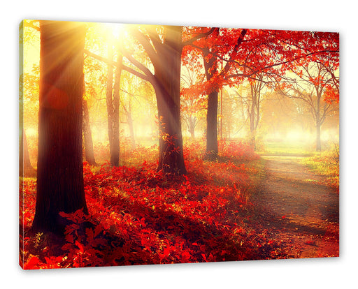 Sonnenstrahlen durch rote Herbstbäume Leinwanbild Rechteckig