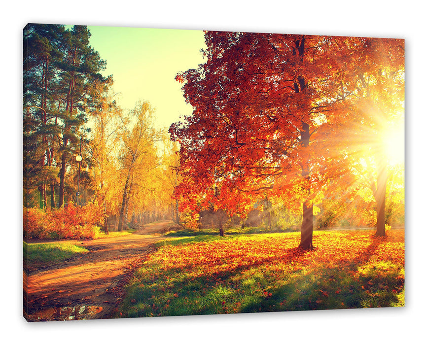 Pixxprint Weg durch bunten Herbstwald, Leinwandbild