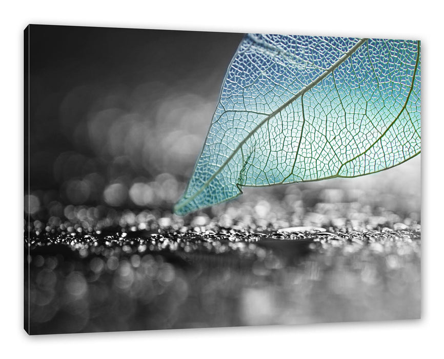 Pixxprint Nahaufnahme weißes Blattgerüst im Regen B&W Detail, Leinwandbild