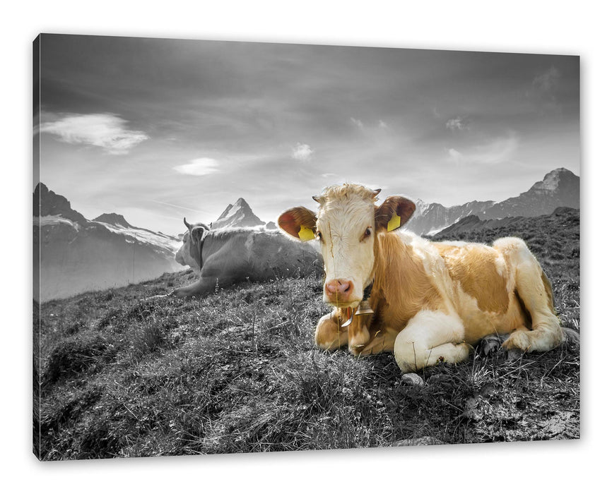 Pixxprint Simmentaler Kühe vor Schweizer Alpen B&W Detail, Leinwandbild