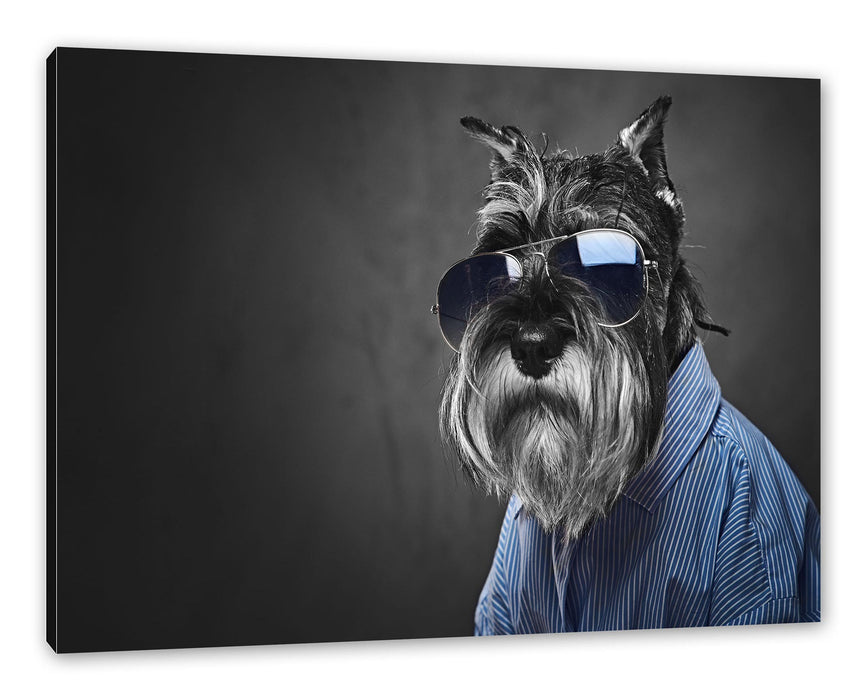 Pixxprint Lustiger Hund mit Hemd und Sonnenbrille B&W Detail, Leinwandbild