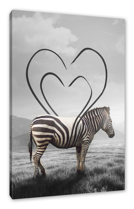 Pixxprint Zebra mit Herzbotschaft in der Savanne B&W Detail, Leinwandbild