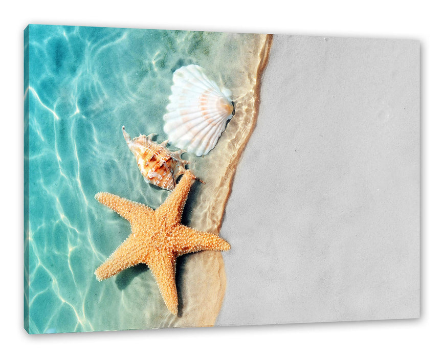 Pixxprint Seestern und Muscheln am Strand B&W Detail, Leinwandbild